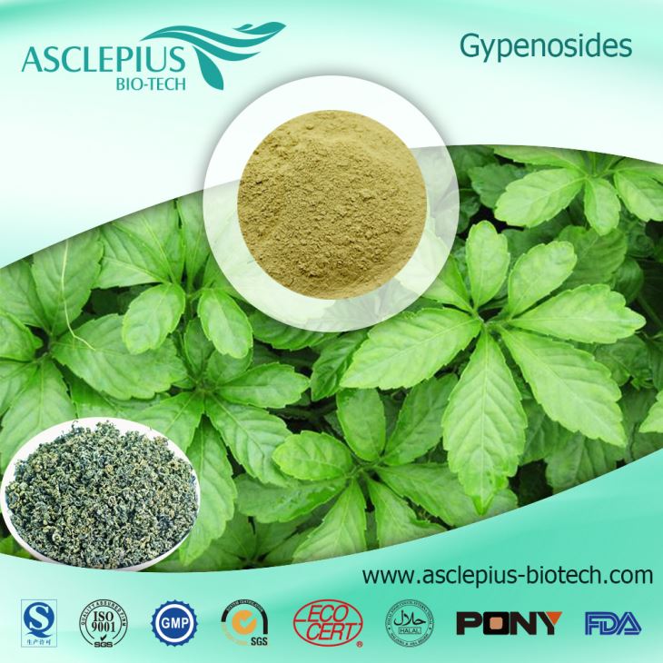 Gynostemma Pentaphyllum Gypenoside Extract Supplier Wholesale/jiaogulan