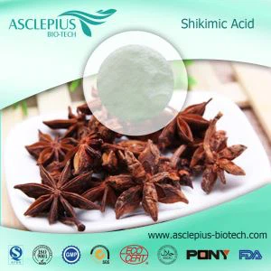 Fournisseur de poudre d'extrait d'anis en gros/l'ingrédient actif est l'acide shikimique, l'huile essentielle d'anis