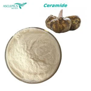 L'usine fournit de la poudre de céramide 3